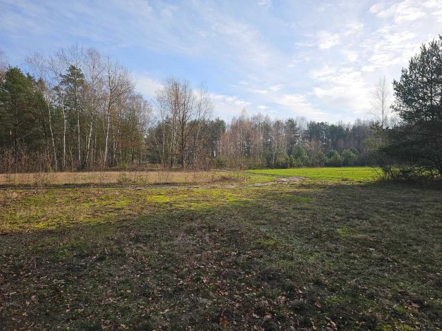 Działka rolna Ponurzyca. Zdjęcie 1