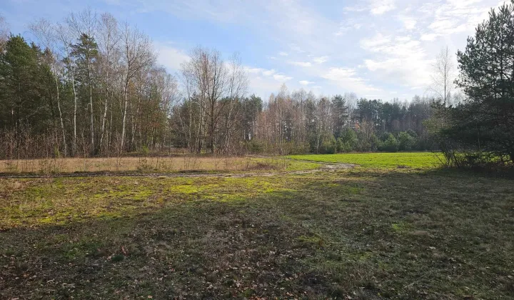 Działka rolna Ponurzyca