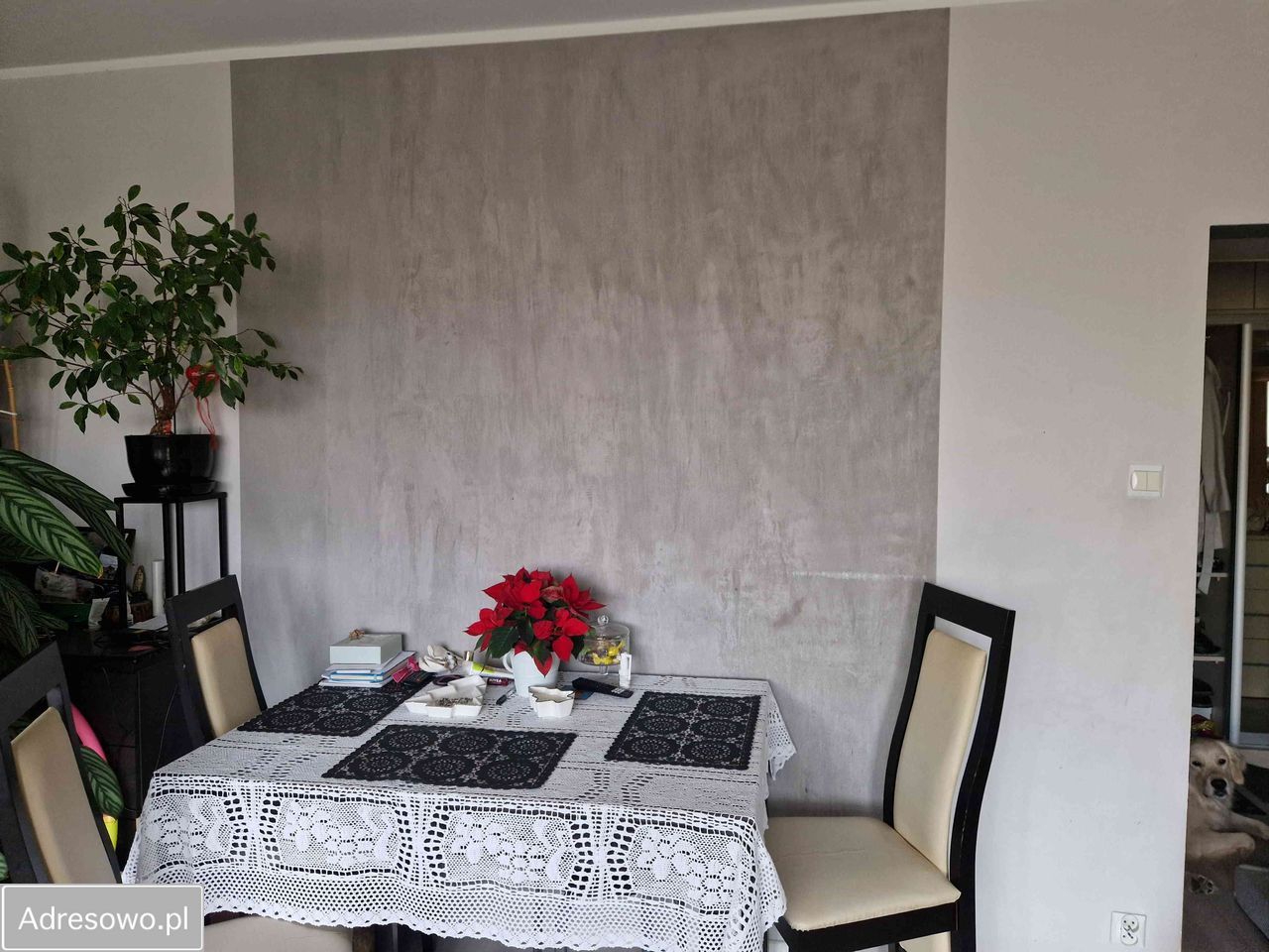 Mieszkanie 3-pokojowe Pabianice, ul. gen. Stefana "Grota" Roweckiego. Zdjęcie 14