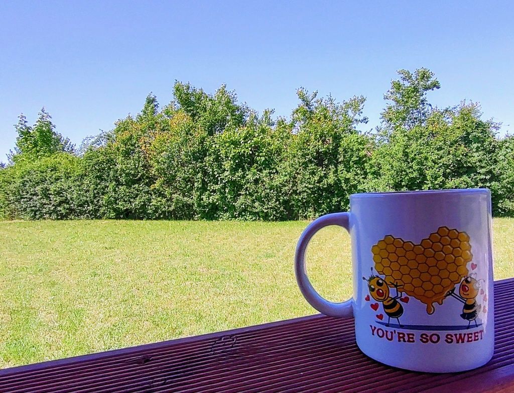 Działka rod Chełmno. Zdjęcie 3