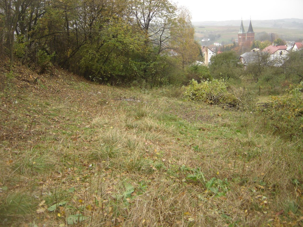Działka rolna Błażowa Miasto, ul. Jagiellońska. Zdjęcie 9