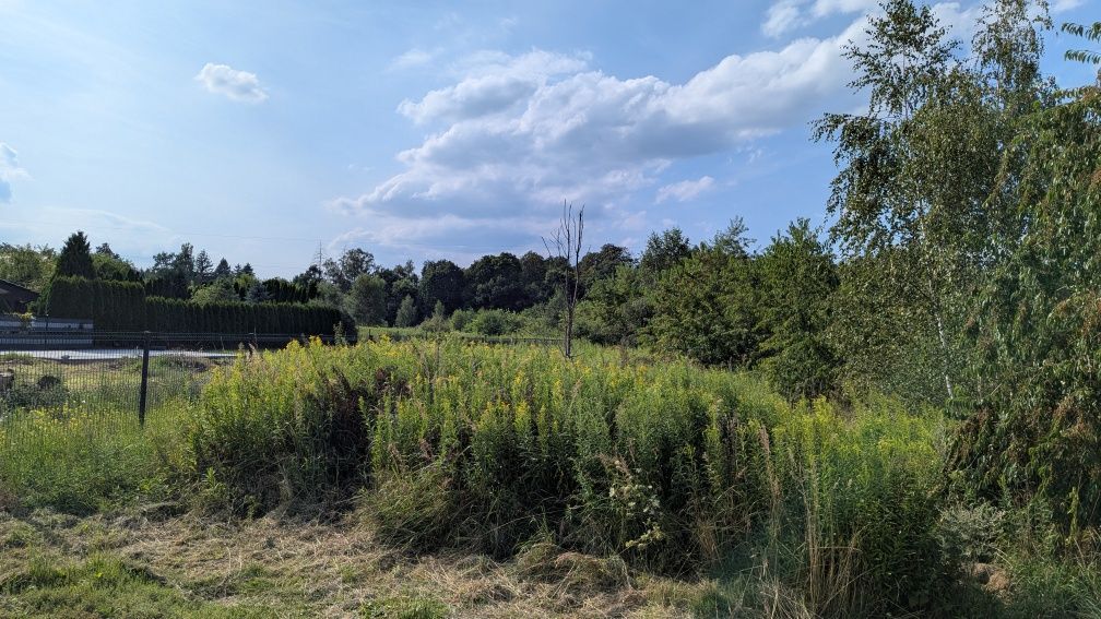 Działka budowlana Żarowo. Zdjęcie 5