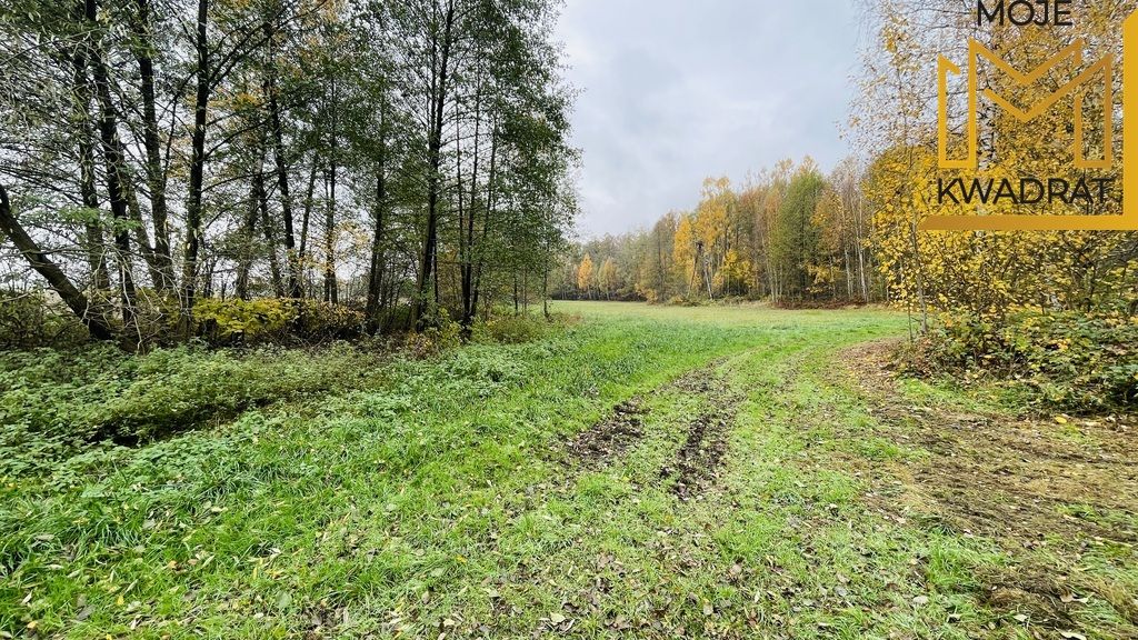 dom wolnostojący, 4 pokoje Drużbice-Kolonia. Zdjęcie 7