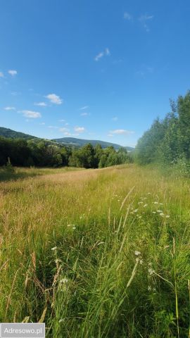 Działka rekreacyjna Kamienica. Zdjęcie 1