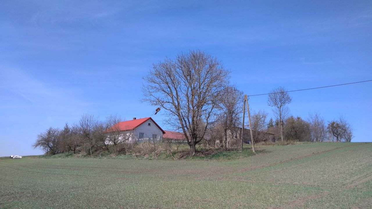 dom wolnostojący, 2 pokoje Hrebenne, Hrebenne. Zdjęcie 23