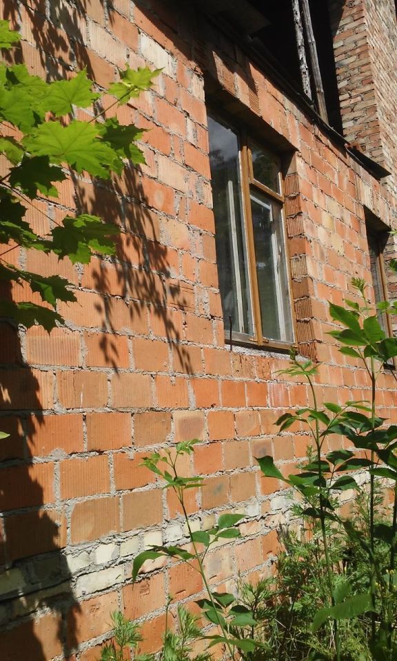 Działka rolno-budowlana Gumowo. Zdjęcie 2