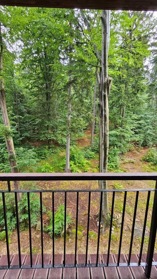 Mieszkanie 2-pokojowe Szklarska Poręba Szklarska Poręba Górna, ul. Górna. Zdjęcie 3