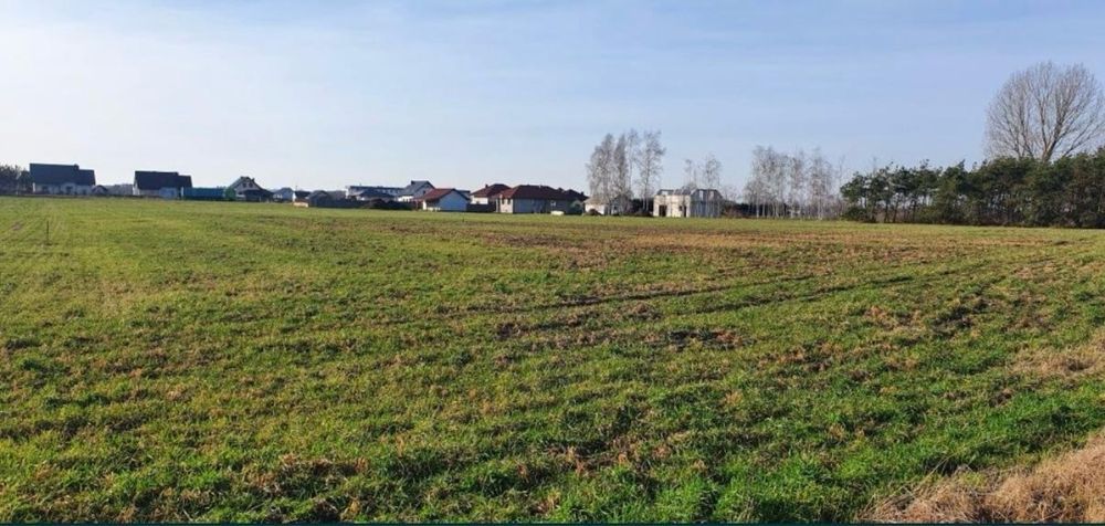 Działka budowlana Krzeszyce, ul. Ogrodowa. Zdjęcie 5