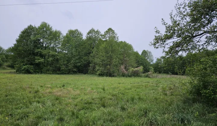 Działka rolna Kowalewice