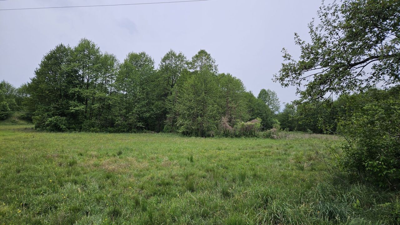 Działka rolna Kowalewice