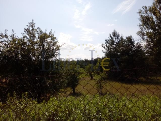 Działka budowlana Stare Grochale. Zdjęcie 4