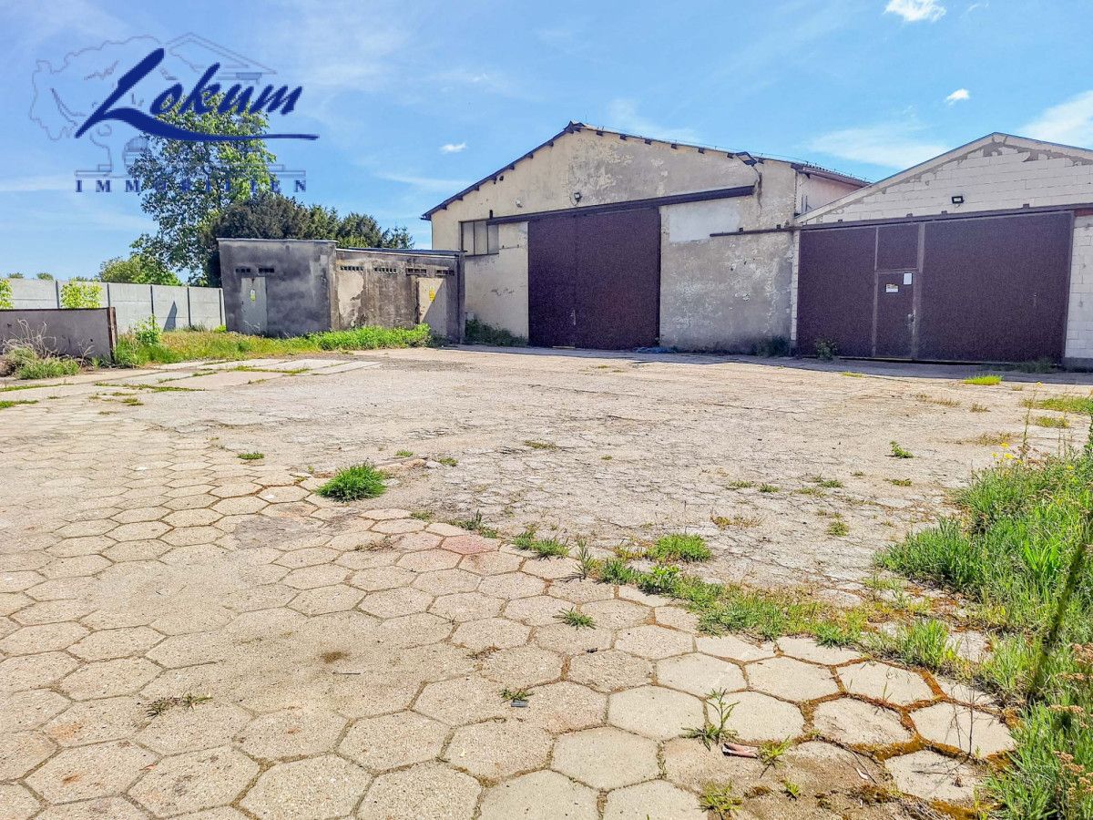 Lokal Rydzyna, ul. Kasztanowa. Zdjęcie 4