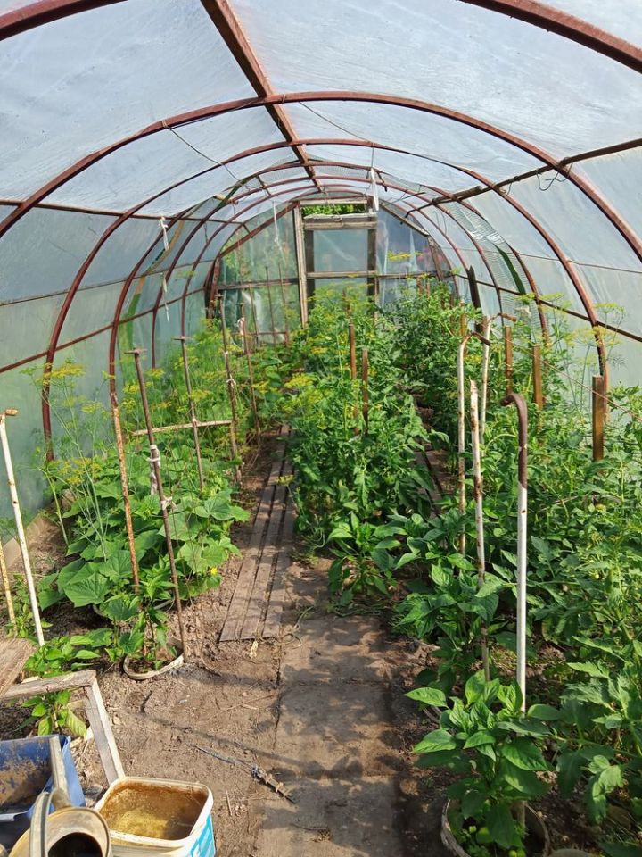 Działka rod Augustów. Zdjęcie 7