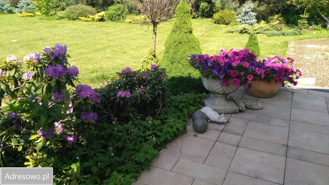 dom wolnostojący, 8 pokoi Jeżew. Zdjęcie 11