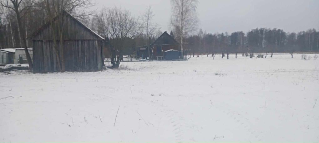 Działka rolno-budowlana Korzeń. Zdjęcie 2