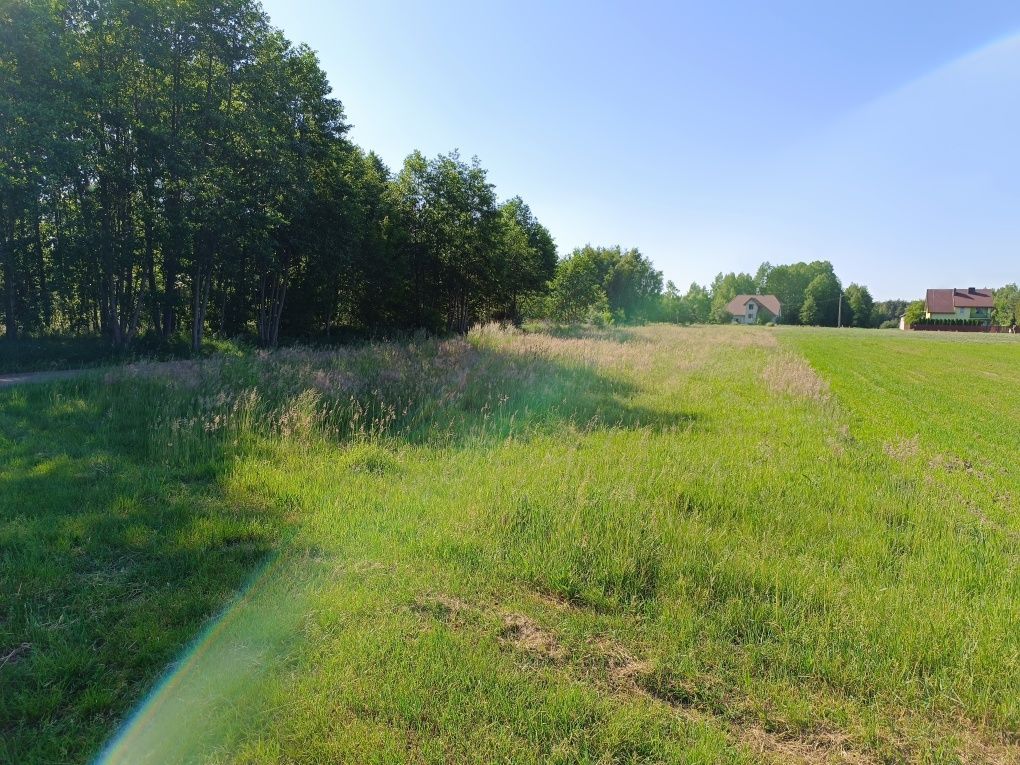 Działka rekreacyjna Dębinki. Zdjęcie 2