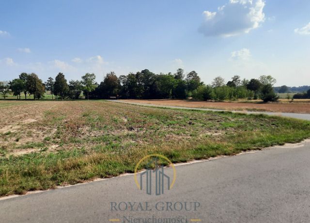 Działka rolna Rudno. Zdjęcie 5