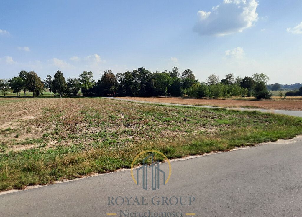 Działka rolna Rudno. Zdjęcie 5