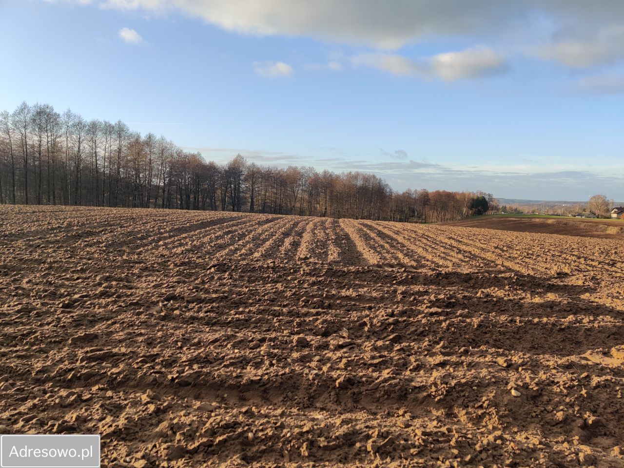 Działka budowlana Wybudowanie Michałowo, ul. Łączna. Zdjęcie 6