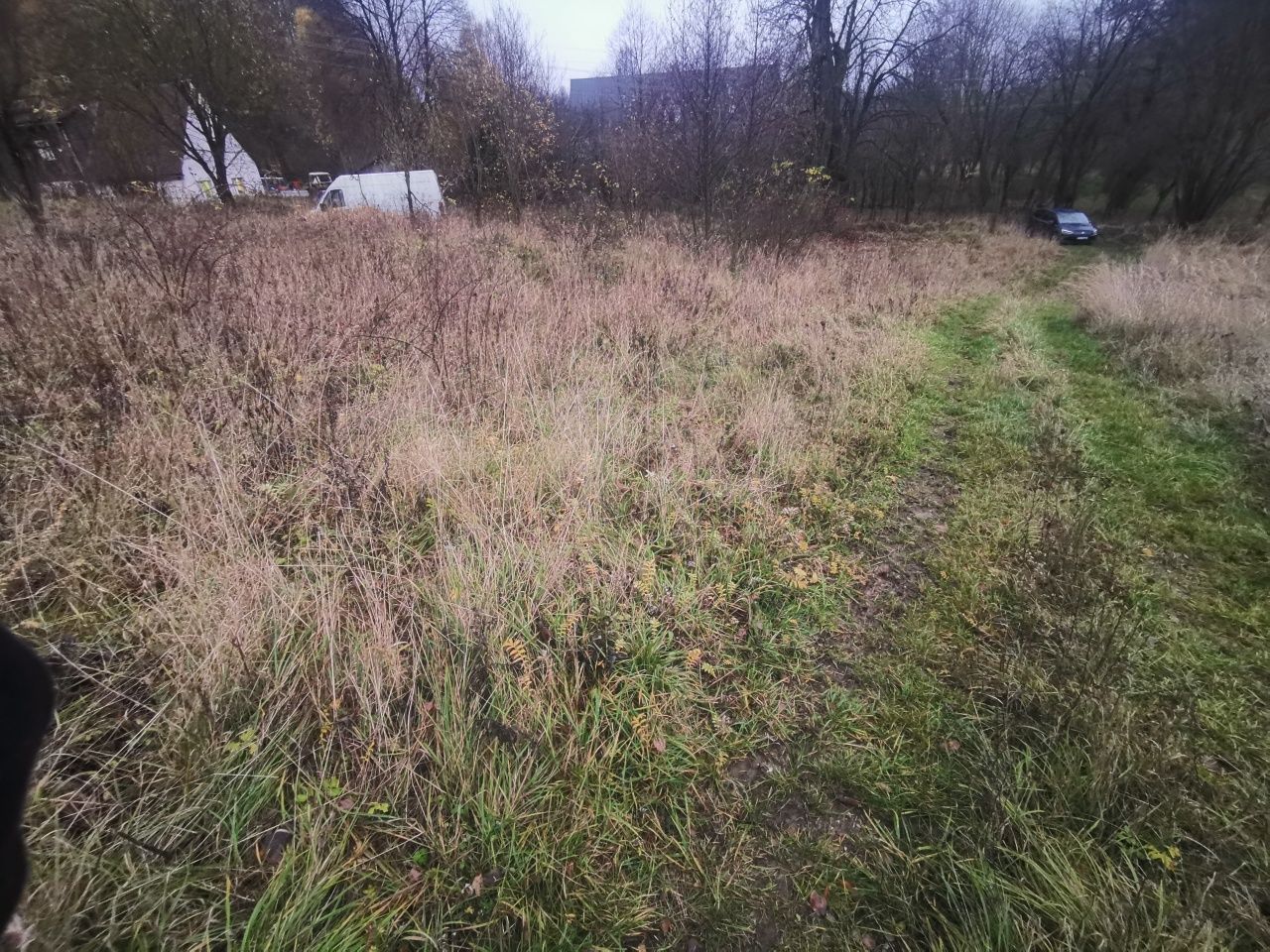 Działka rolno-budowlana Nowy Waliszów. Zdjęcie 6