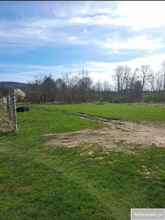 Działka budowlana Bogatynia, ul. Nadrzeczna