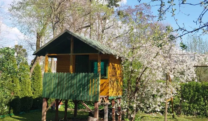 Działka rod Gliwice Śródmieście