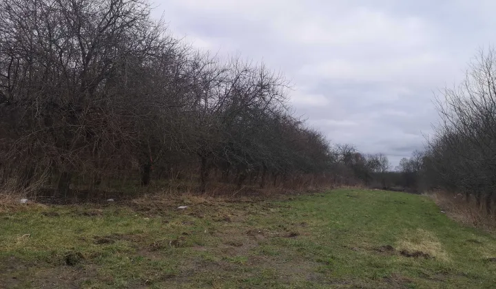 Działka rolno-budowlana Nadbrzeż