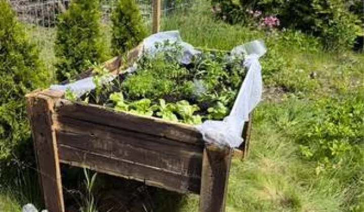 Działka rod Dąbrowa Górnicza Ząbkowice, ul. Chemiczna