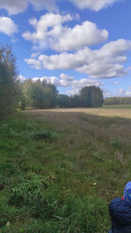 Działka rolna Dębowce. Zdjęcie 4