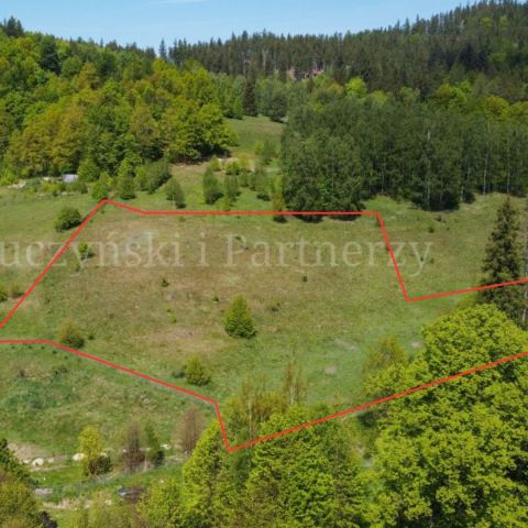 Działka inwestycyjna Karpniki. Zdjęcie 5