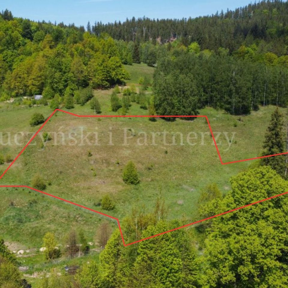 Działka inwestycyjna Karpniki. Zdjęcie 5