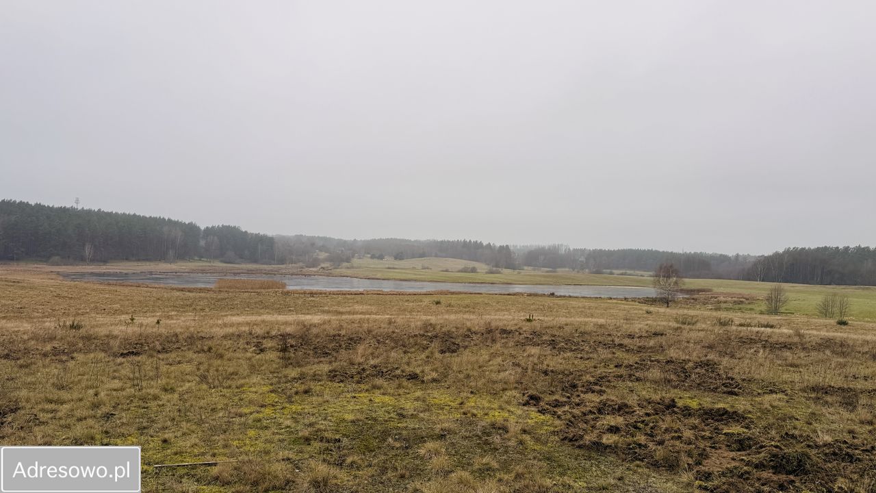 Działka rolna Przydargiń. Zdjęcie 2