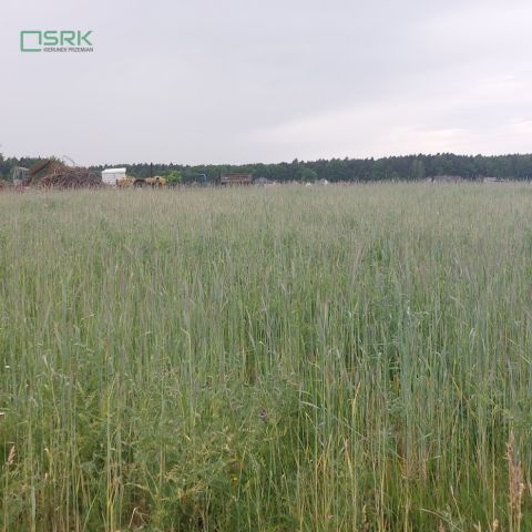 Działka inna Rudziczka, ul. Woszczycka. Zdjęcie 6