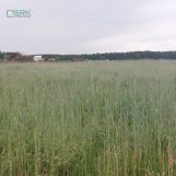 Działka inna Rudziczka, ul. Woszczycka. Zdjęcie 4