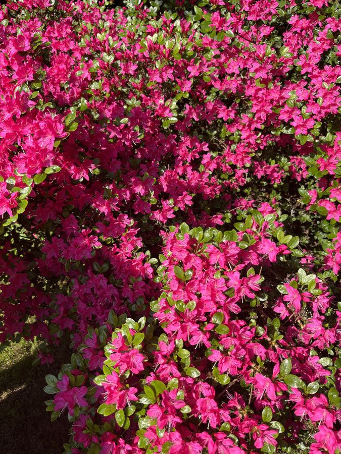 Działka rod Prawda. Zdjęcie 21