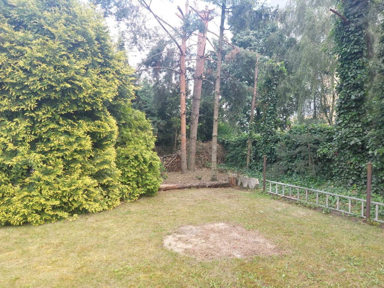 Działka rod Siemianowice Śląskie, ul. Bohaterów Westerplatte. Zdjęcie 3