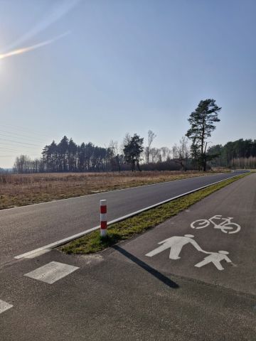 Działka inwestycyjna Reptowo. Zdjęcie 1