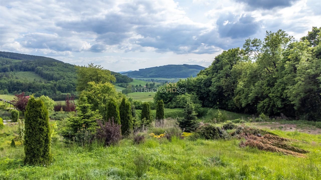 Działka budowlana Pustelnik. Zdjęcie 14