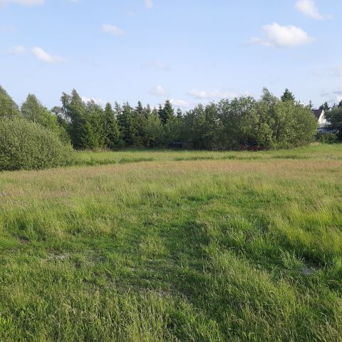 Działka rolna Wielki Klincz, ul. Kościerska. Zdjęcie 1