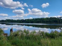 Działka budowlana Machliny. Zdjęcie 3