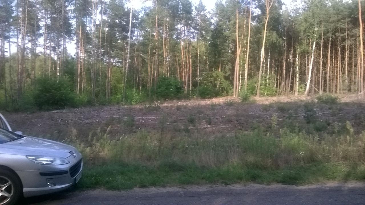 Działka rolno-budowlana Królewo. Zdjęcie 2