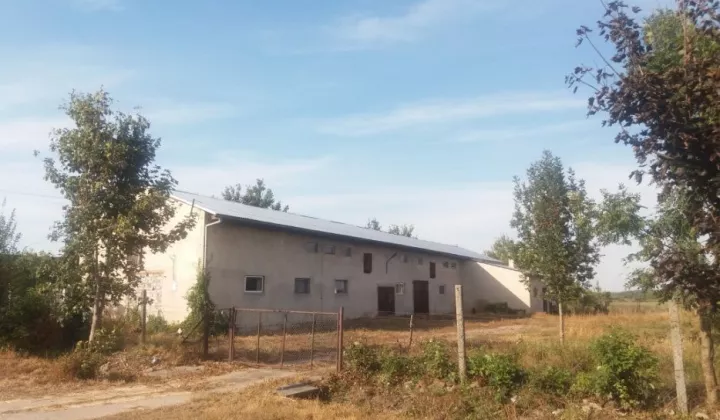 Hala/magazyn Piastowice
