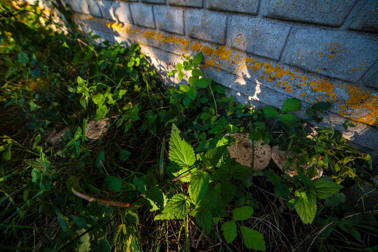 Działka budowlana Celiny. Zdjęcie 22