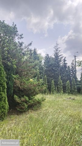 Działka rolno-budowlana Jaworowa. Zdjęcie 1