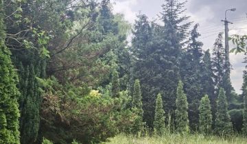 Działka rolno-budowlana Jaworowa