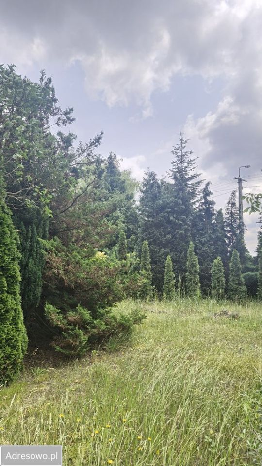 Działka rolno-budowlana Jaworowa