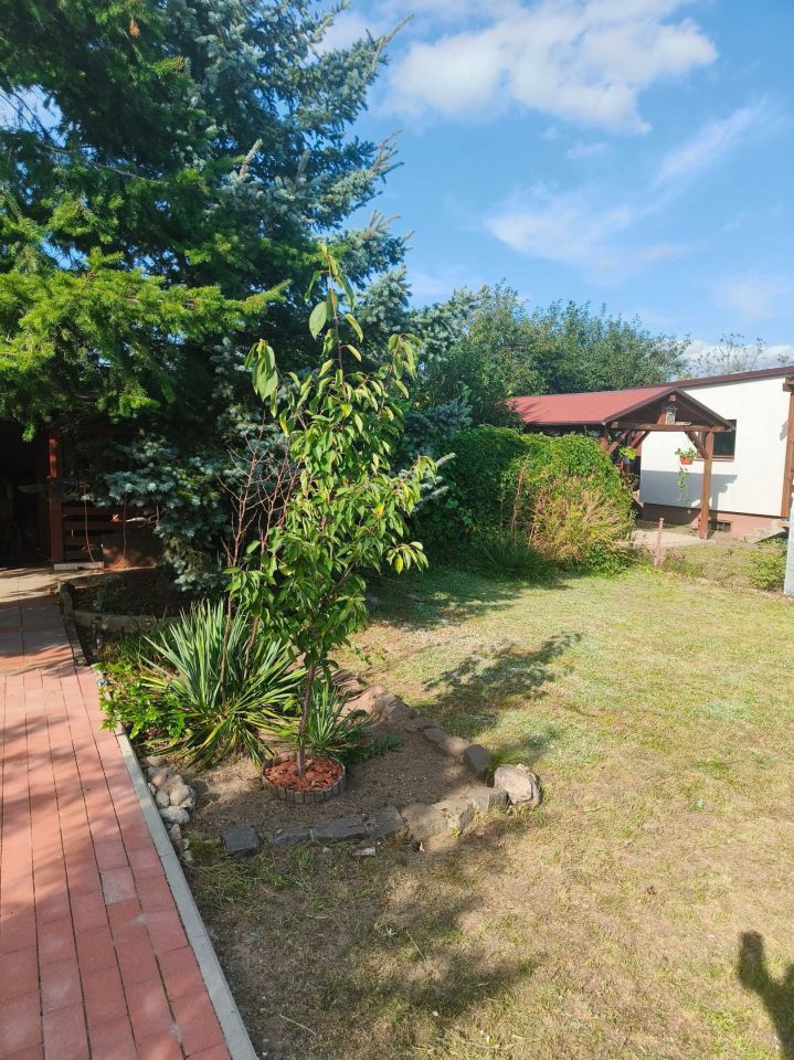 Działka rod Piła, al. Wojska Polskiego. Zdjęcie 8