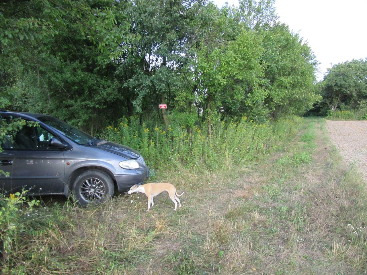 Działka siedliskowa Stawki. Zdjęcie 6