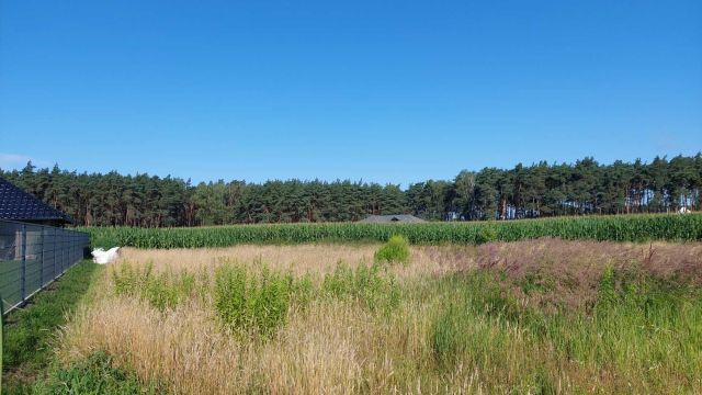 Działka budowlana Nowe Tłoki. Zdjęcie 1