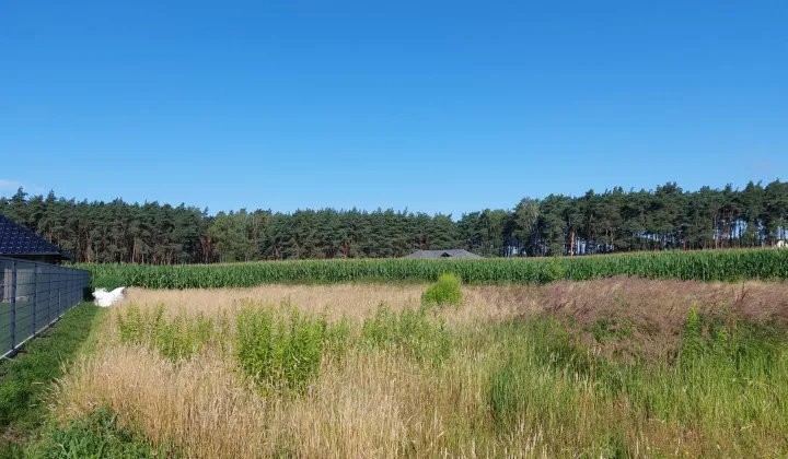 Działka budowlana Nowe Tłoki